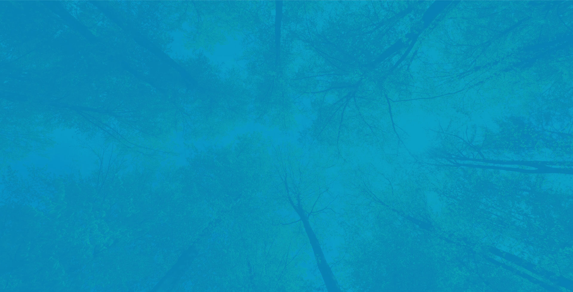 About ESG Page Header Background