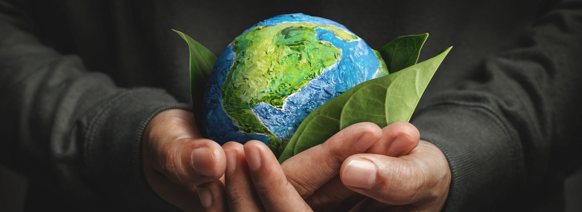 Global Network Page Header Banner