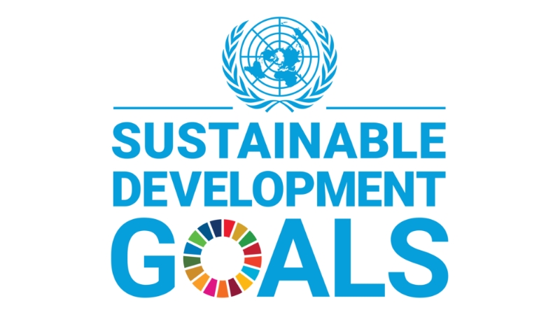 UN Sustainable Development Goals Logo