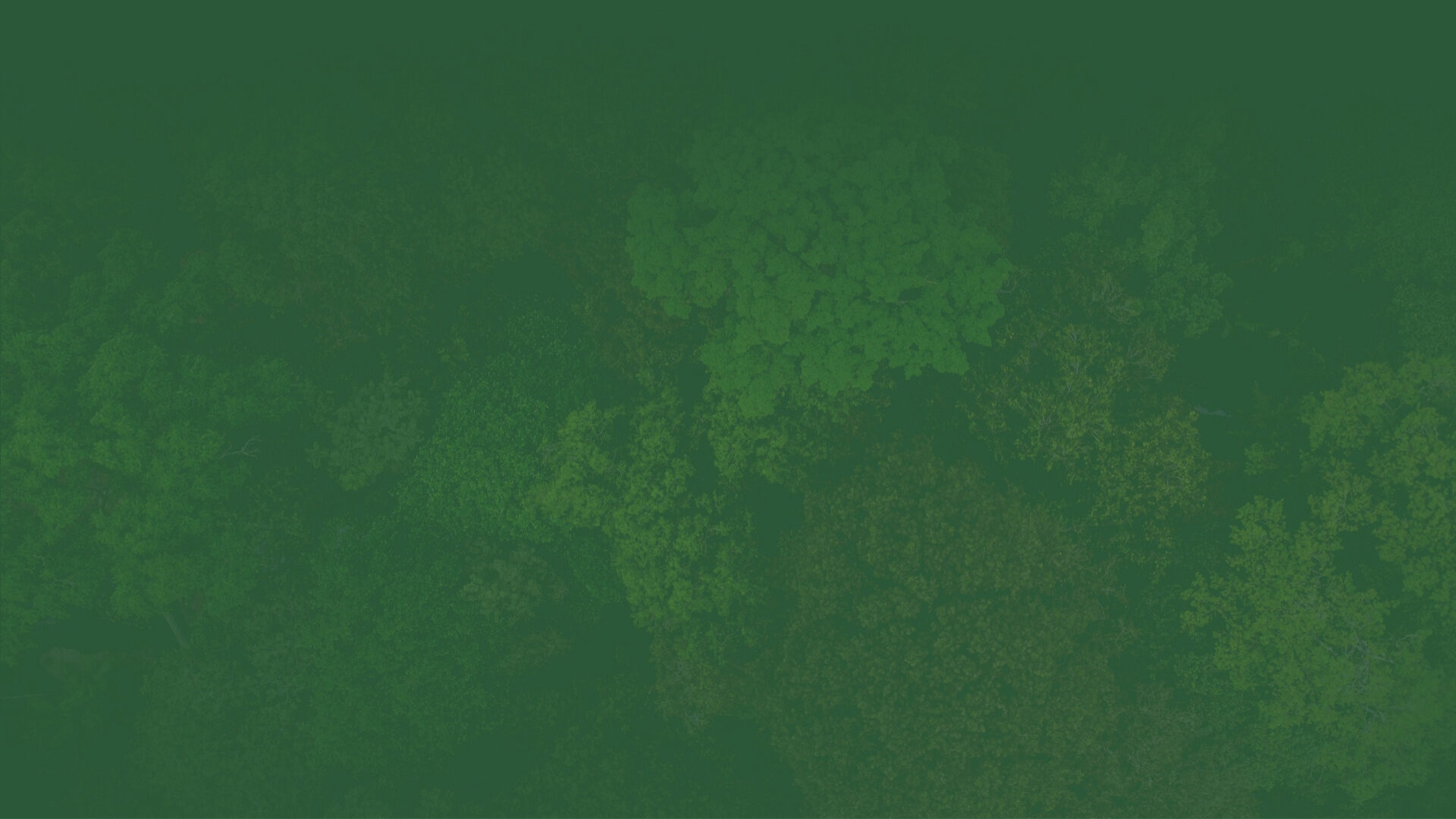 Sustainable Development Background Image